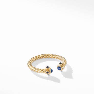 Renaissance Color Ring in 18K Yellow Gold with Blue Sapphires