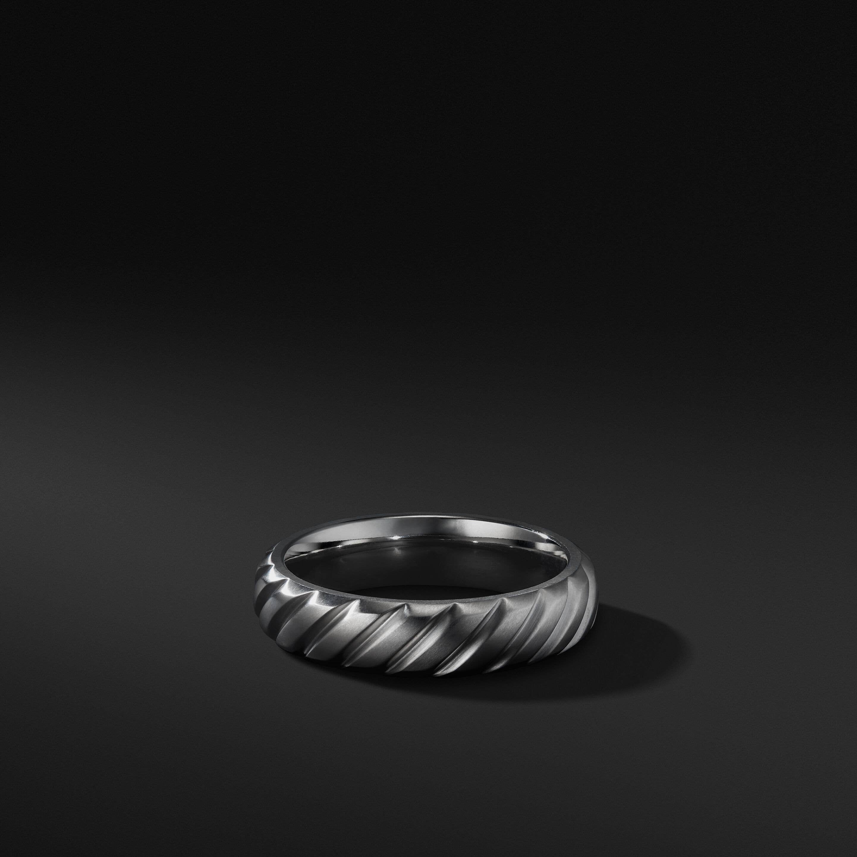Modern Cable Band Ring in Grey Titanium