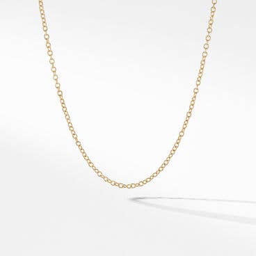 Cable Rolo Chain Necklace in 18K Yellow Gold