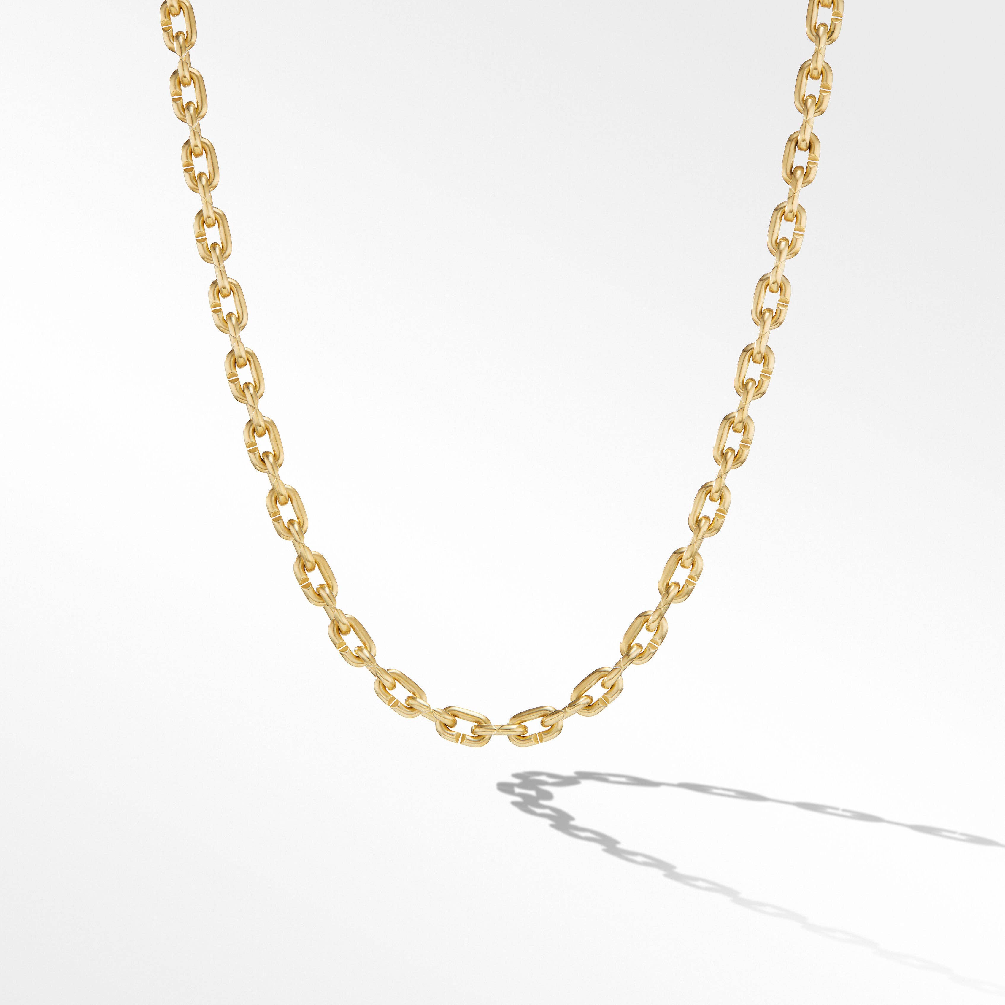 Chain Links Necklace in 18K Yellow Gold