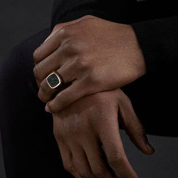 Petrvs® Horse Signet Ring in 18K Yellow Gold with Bloodstone