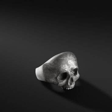 Meteorite Skull Ring in Sterling Silver
