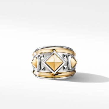 Modern Renaissance Ring with 18K Yellow Gold