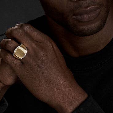 Streamline® Signet Ring in Sterling Silver with 18K Yellow Gold