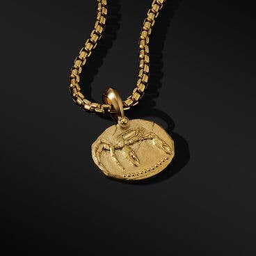 Cancer Amulet in 18K Yellow Gold