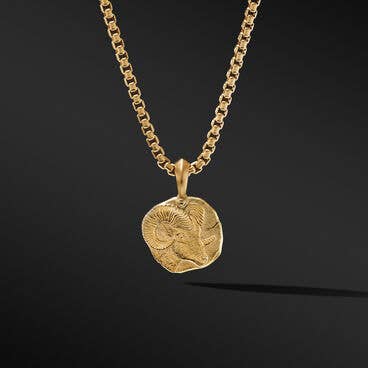 Aries Amulet in 18K Yellow Gold