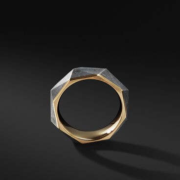 Torqued Faceted Band Ring in 18K Yellow Gold with Meteorite
