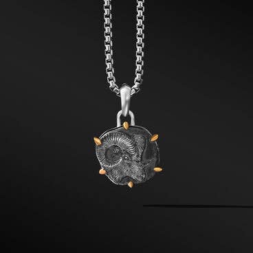 Aries Amulet in Sterling Silver with 18K Yellow Gold