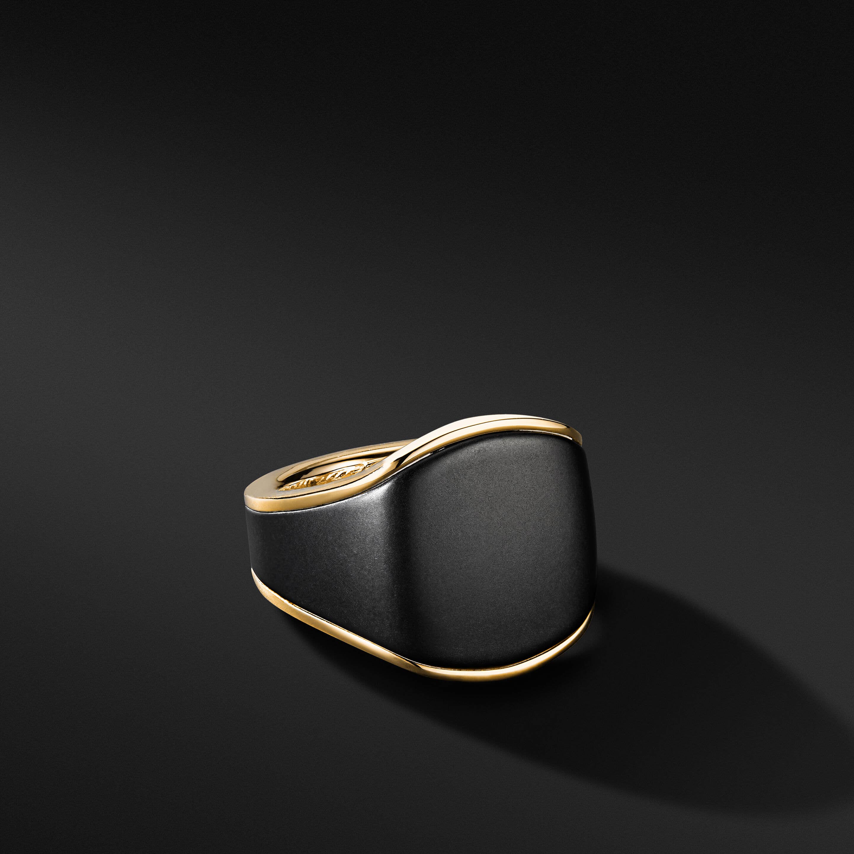 Streamline® Signet Ring in 18K Yellow Gold with Black Titanium