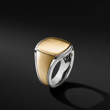 Streamline® Signet Ring with 18K Yellow Gold