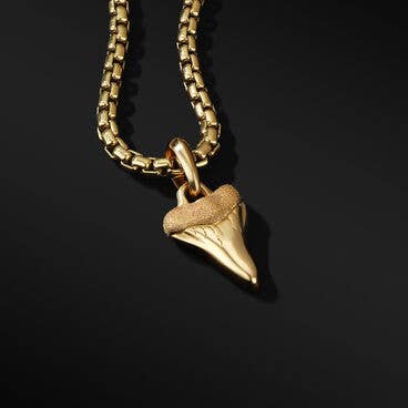 Shark Tooth Amulet in 18K Yellow Gold
