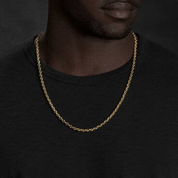 Armory® Necklace in 18K Yellow Gold