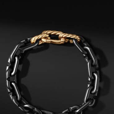 Chain Links Bracelet with Black Titanium and 18K Yellow Gold