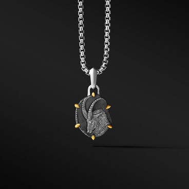 Capricorn Amulet in Sterling Silver with 18K Yellow Gold