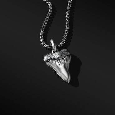 Shark Tooth Amulet