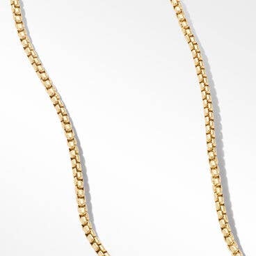 Box Chain Necklace in Brushed 18K Yellow Gold, 2.7mm
