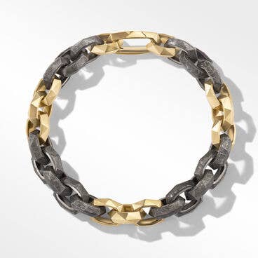 Torqued Faceted Link Bracelet in 18K Yellow Gold with Meteorite
