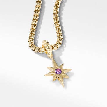 North Star Birthstone Amulet in 18K Yellow Gold with Amethyst