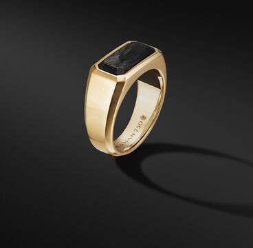 Forged Carbon Signet Ring in 18K Yellow Gold