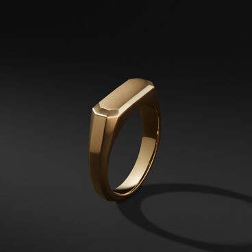 Streamline® Signet Ring in 18K Yellow Gold