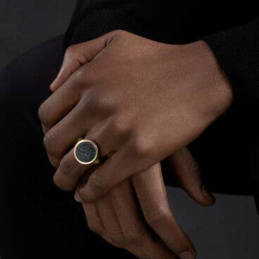Petrvs® Lion Signet Ring in 18K Yellow Gold with Bloodstone