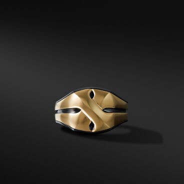 Armory® Signet Ring with Black Titanium and 18K Yellow Gold