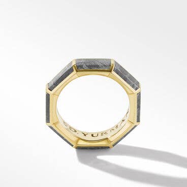 Meteorite Faceted Band Ring in 18K Yellow Gold