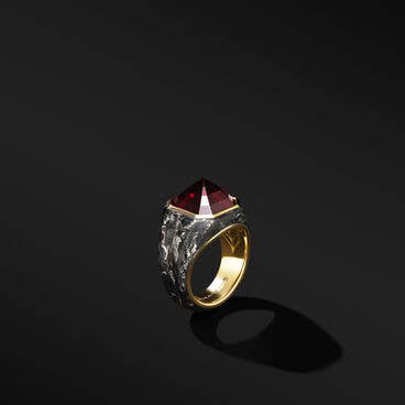 Forged Carbon Signet Ring with 18K Yellow Gold and Garnet