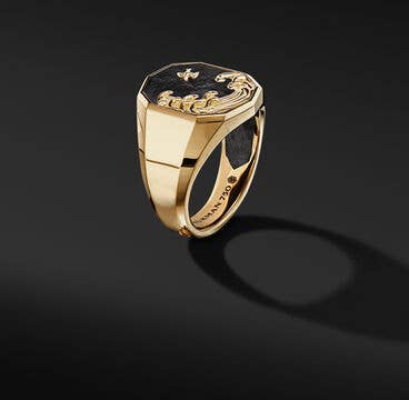 Waves Signet Ring in 18K Yellow Gold with Forged Carbon