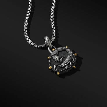 Scorpio Amulet in Sterling Silver with 18K Yellow Gold