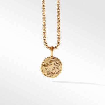 Leo Amulet in 18K Yellow Gold