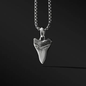 Shark Tooth Amulet