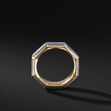Meteorite Faceted Band Ring in 18K Yellow Gold