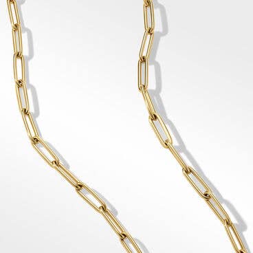 Chain Link Necklace in 18K Yellow Gold