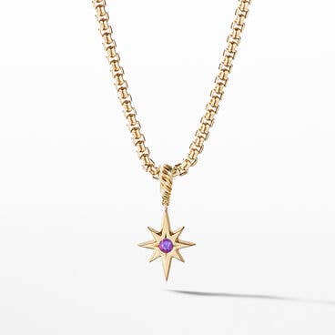 North Star Birthstone Amulet in 18K Yellow Gold with Amethyst