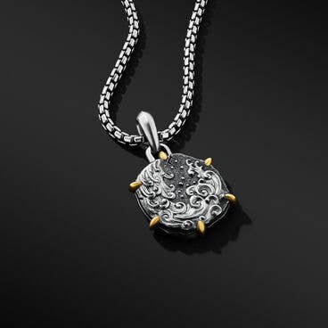Aquarius Amulet in Sterling Silver with 18K Yellow Gold