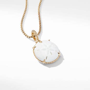 Sand Dollar Amulet with White Agate and 18K Yellow Gold