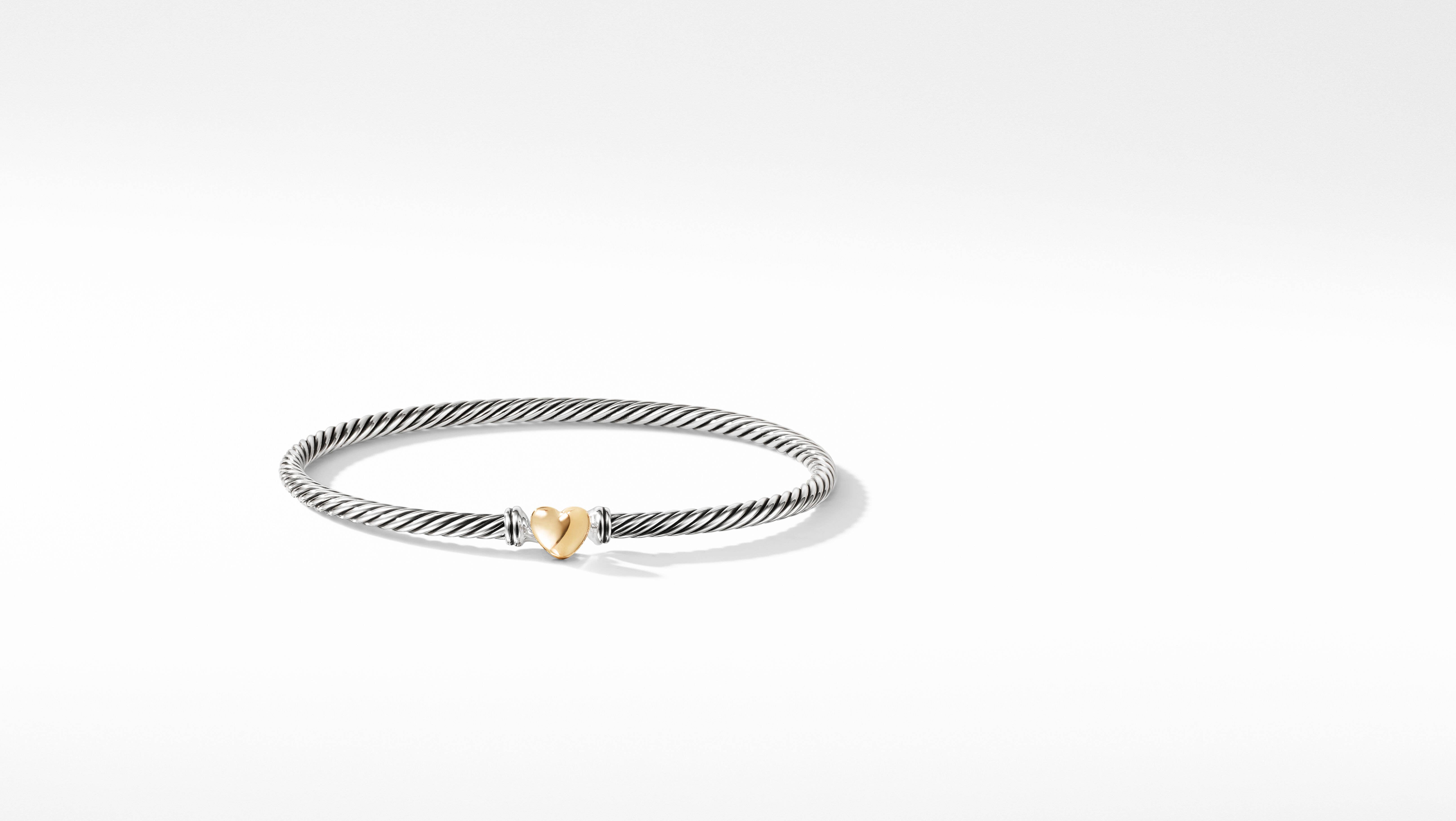 Kariana TwoTone Cable Bracelet SKJ1033998  Skagen