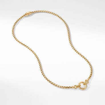 Smooth Amulet Vehicle Box Chain Necklace in 18K Yellow Gold