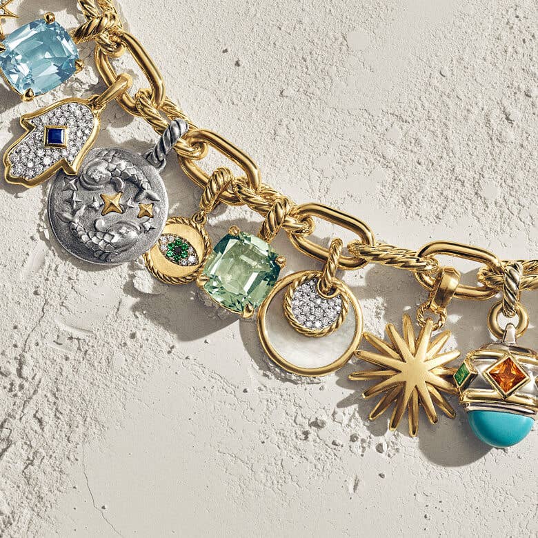David Yurman charms on a chain.
