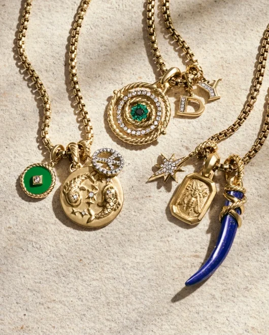 A collection of David Yurman charms and amulets on box chains.