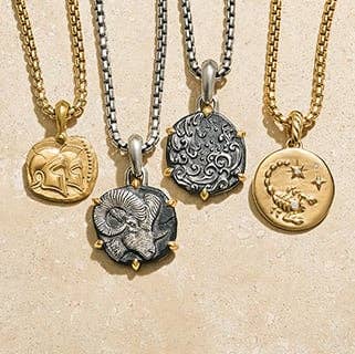 David yurman initial best sale necklace silver
