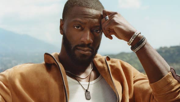 Learn more about Aldis Hodge.