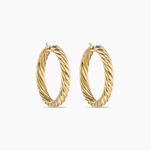 Sculpted Cable Hoop Earrings in 18K Yellow Gold, 38mm