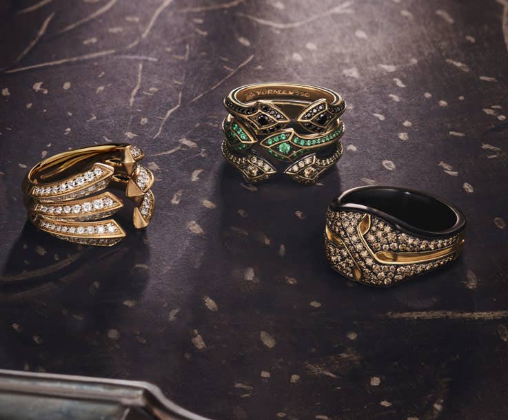 An image of five mens armoury rings.
