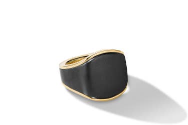 shop Streamline signet ring in 18K yellow gold with black titianium.