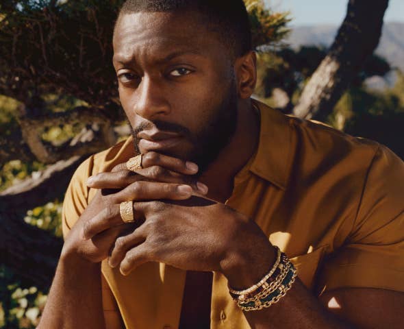 Learn more about Aldis Hodge