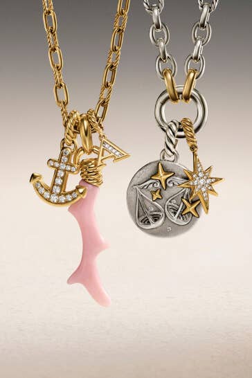 A mix of David Yurman women's chains with amulets. 