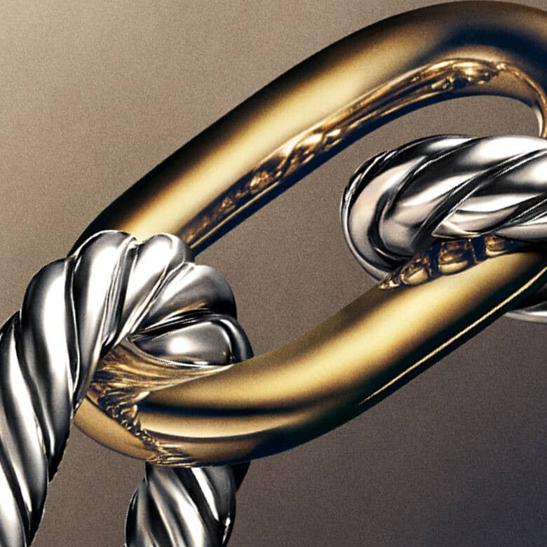 Large detail image of David Yurman Mixed Metal chain links. 
