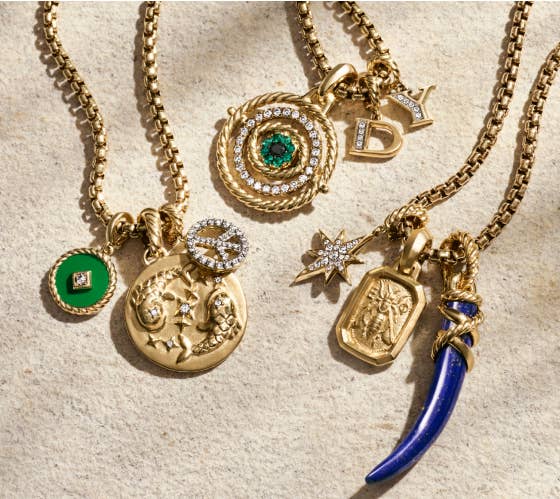A collection of David Yurman charms and amulets on box chains.